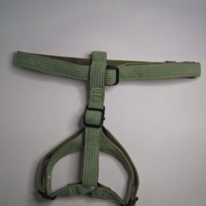 Arnés Pana Verde