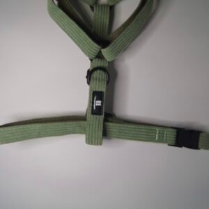 Arnés Pana Verde