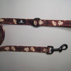 Correa Pomeranian Dog