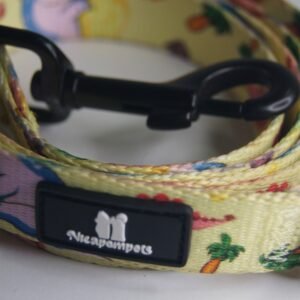 Correa Baby Dinosaurio