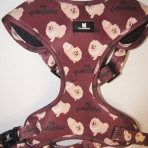 Arnés Pomeranian Dog