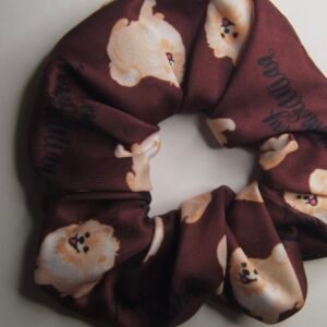 Coletero Pomeranian Dog